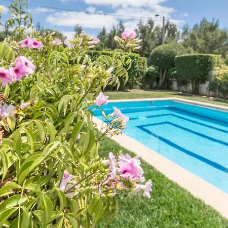 Free Spirit House - Surf & Yoga Retreats * Cascais